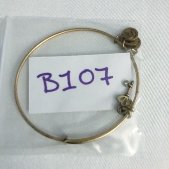 Alex & Ani Key Charm Bracelet Gold Tone - Picture 7 of 8